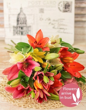 Mixed Lily Bouquet 