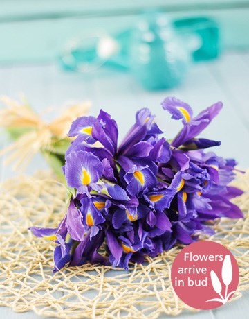 Blue iris bouquet