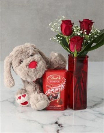 Red roses, teddy & Lindt Chocolaates