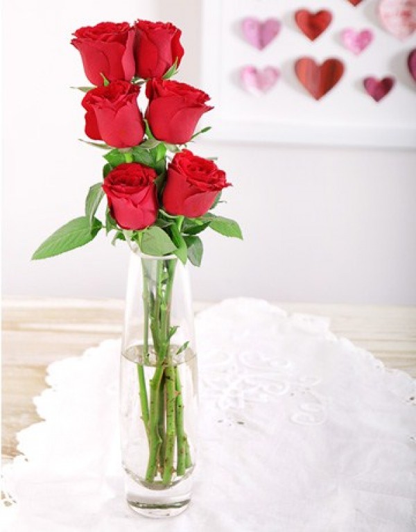 6 Red Roses in a Vase | Durban Florist