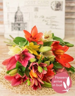 Mixed Lily Bouquet