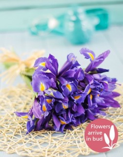Blue Iris Bouquet