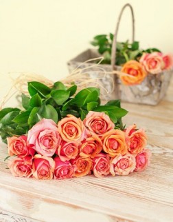 Cherry Brandy Roses in Cellophane 