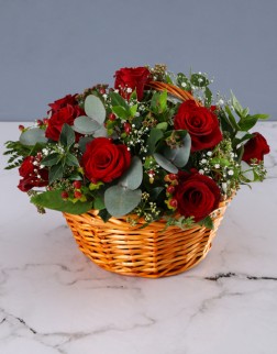 Basket Splendour