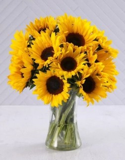 Sunflower Smiles