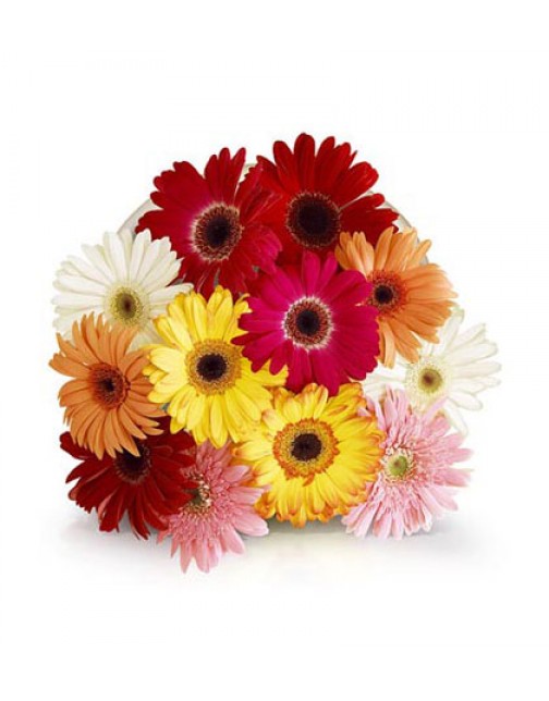 Send Flower Bouquets to Durban, South Africa Durban Florist