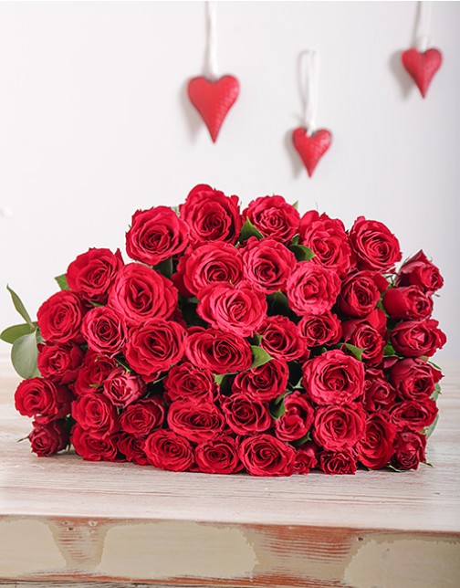 Pink Roses in Cellophane in Durban, South Africa Durban Florist